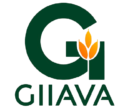 GIIOINSTA