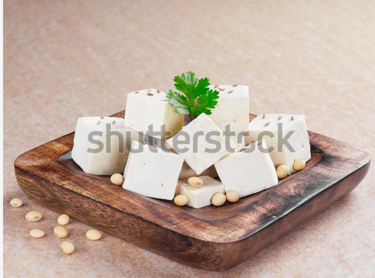 Paneer Paneer
